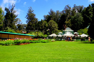 Images of Government Botanical Garden Ooty