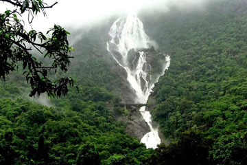 Images of Dudhsagar Falls